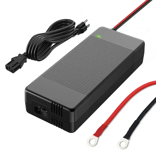 Smart LiFePO4 Battery Charger for Golf Carts and RVs
