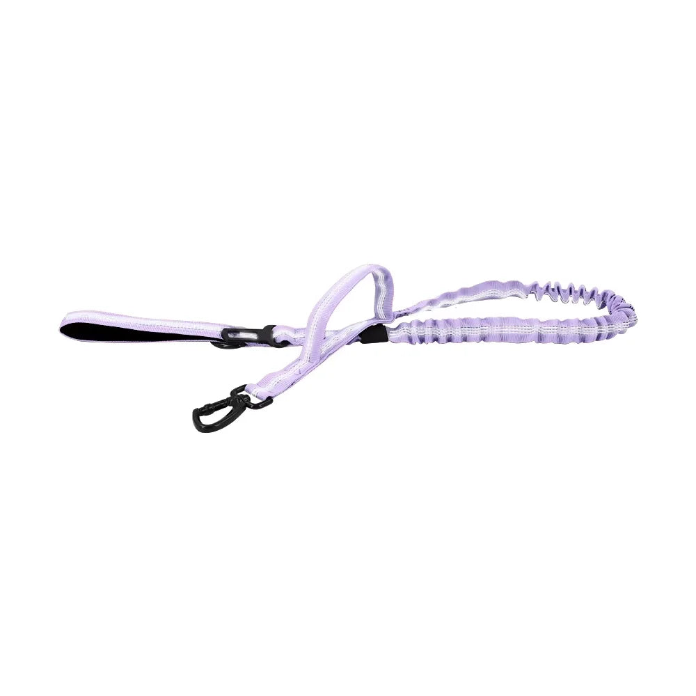 PETRAVEL Military Adjustable Dog Leash With Dual Handles