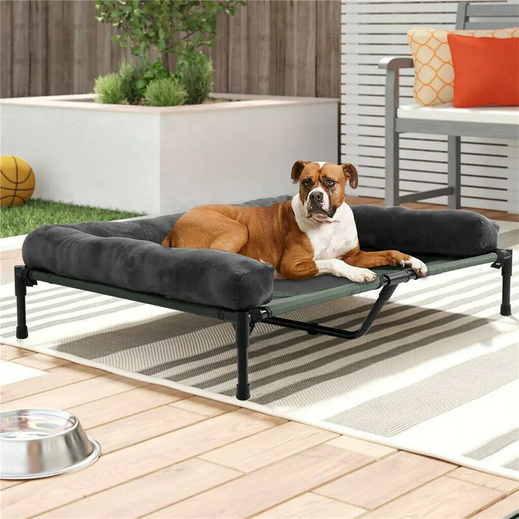 Bingopaw Metal Elevated Pet Bed Detachable Cooling Bolster