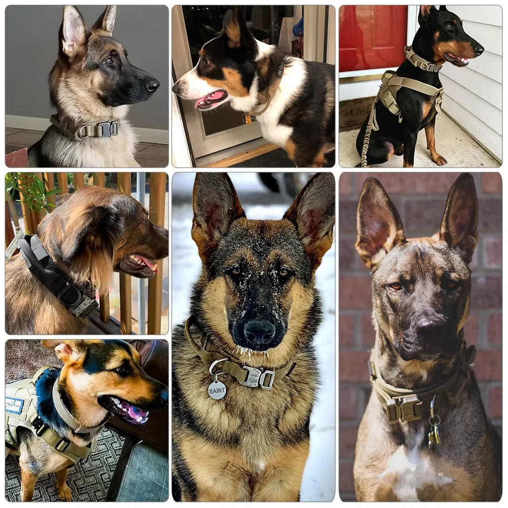PetraVel Tactical Dog Harness And Collar Set
