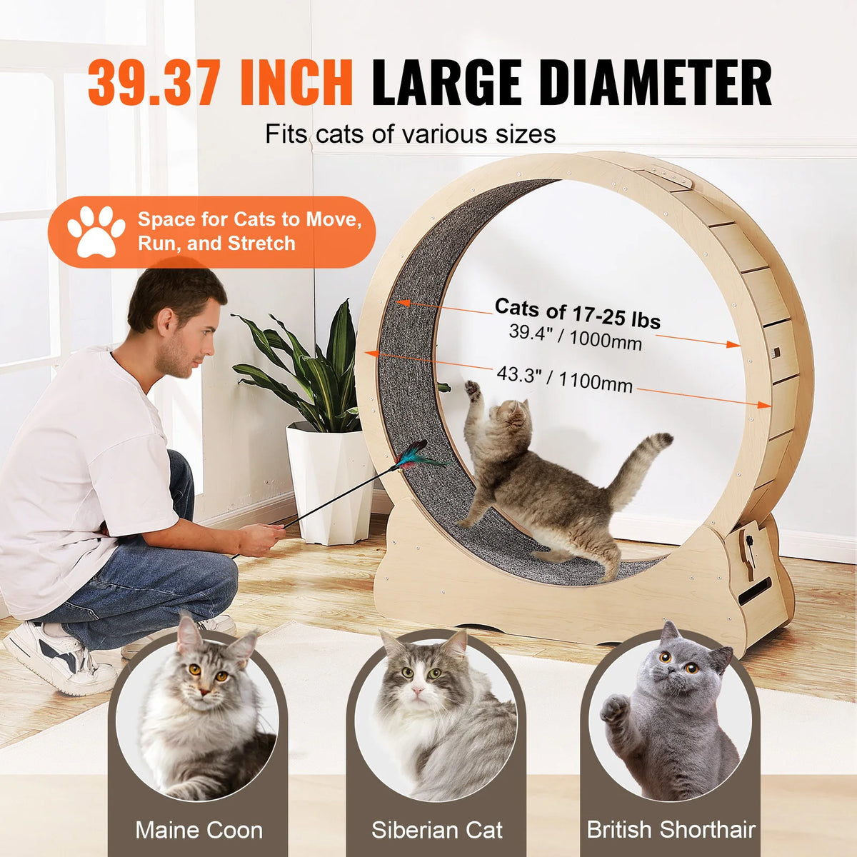 SucceBuy Wooden Cat Exercise Wheel for Indoor Cats