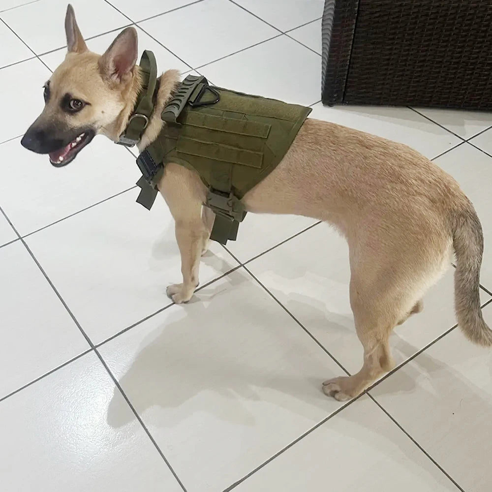 PetraVel Tactical Dog Harness And Collar Set
