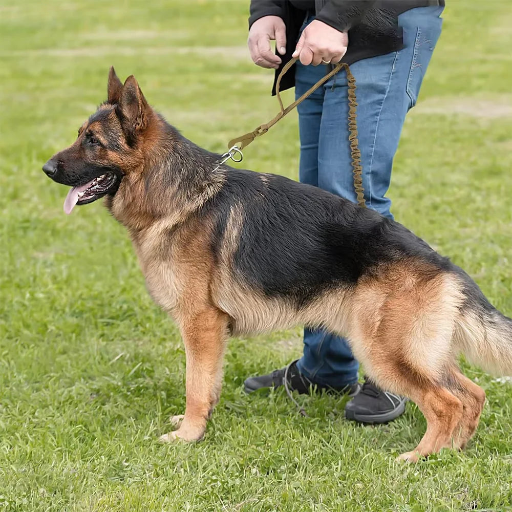 PETRAVEL Military Adjustable Dog Leash With Dual Handles