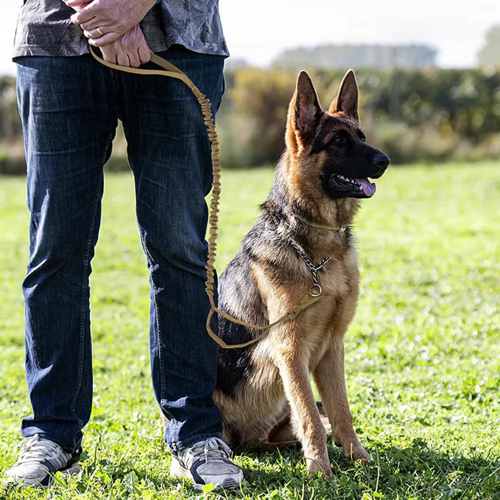 PETRAVEL Military Adjustable Dog Leash With Dual Handles
