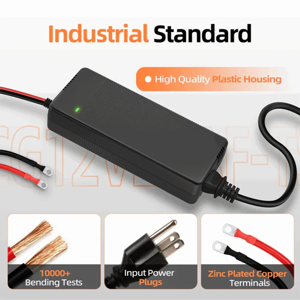 Smart LiFePO4 Battery Charger for Golf Carts and RVs